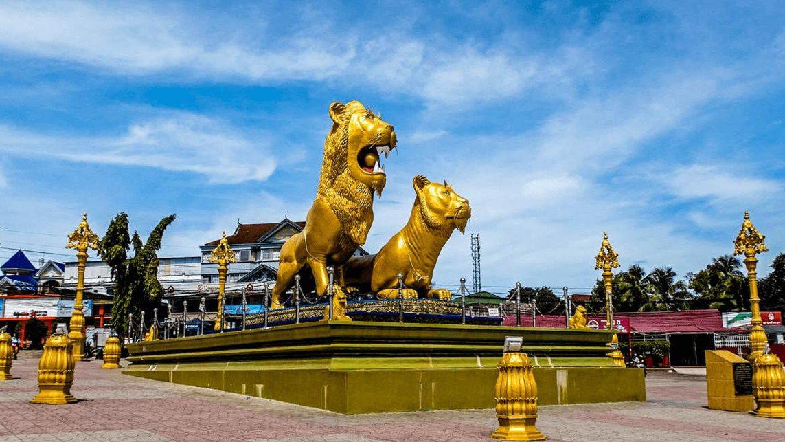 lion1