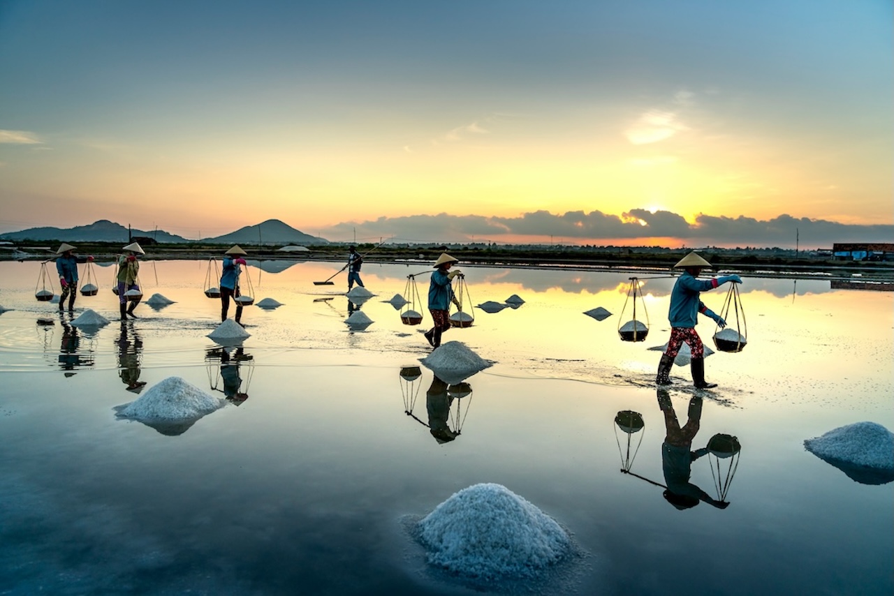 salt field